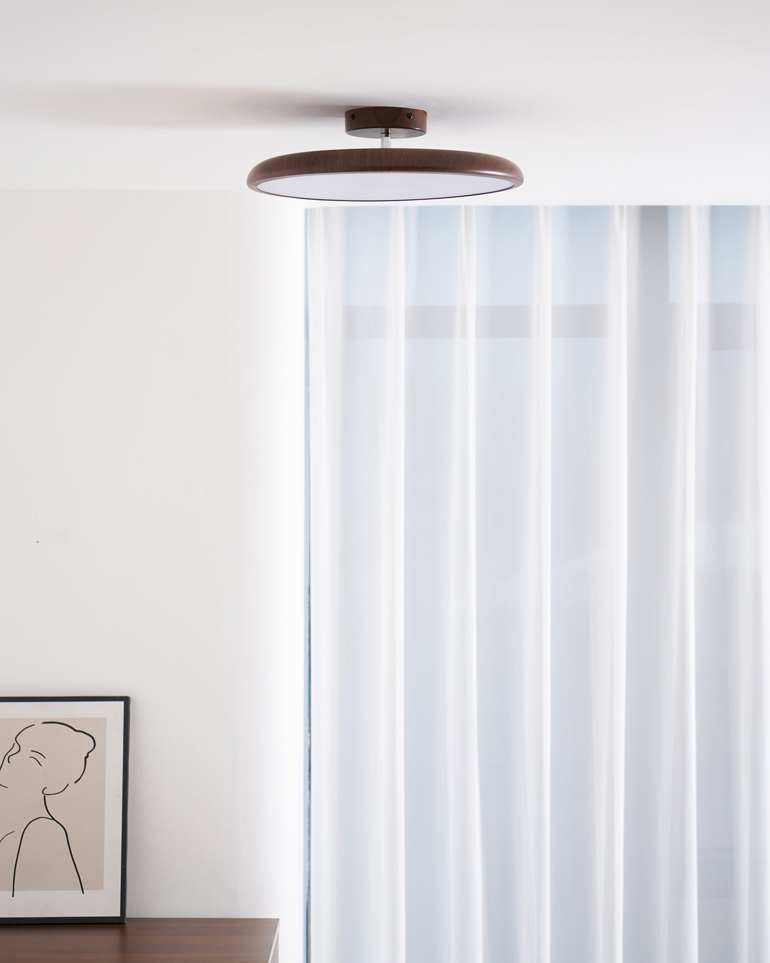 Vejhava loftlampe