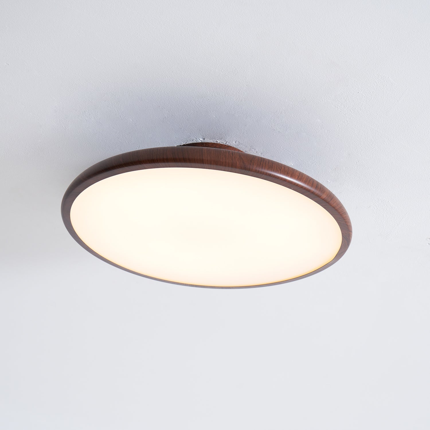 Vejhava loftlampe