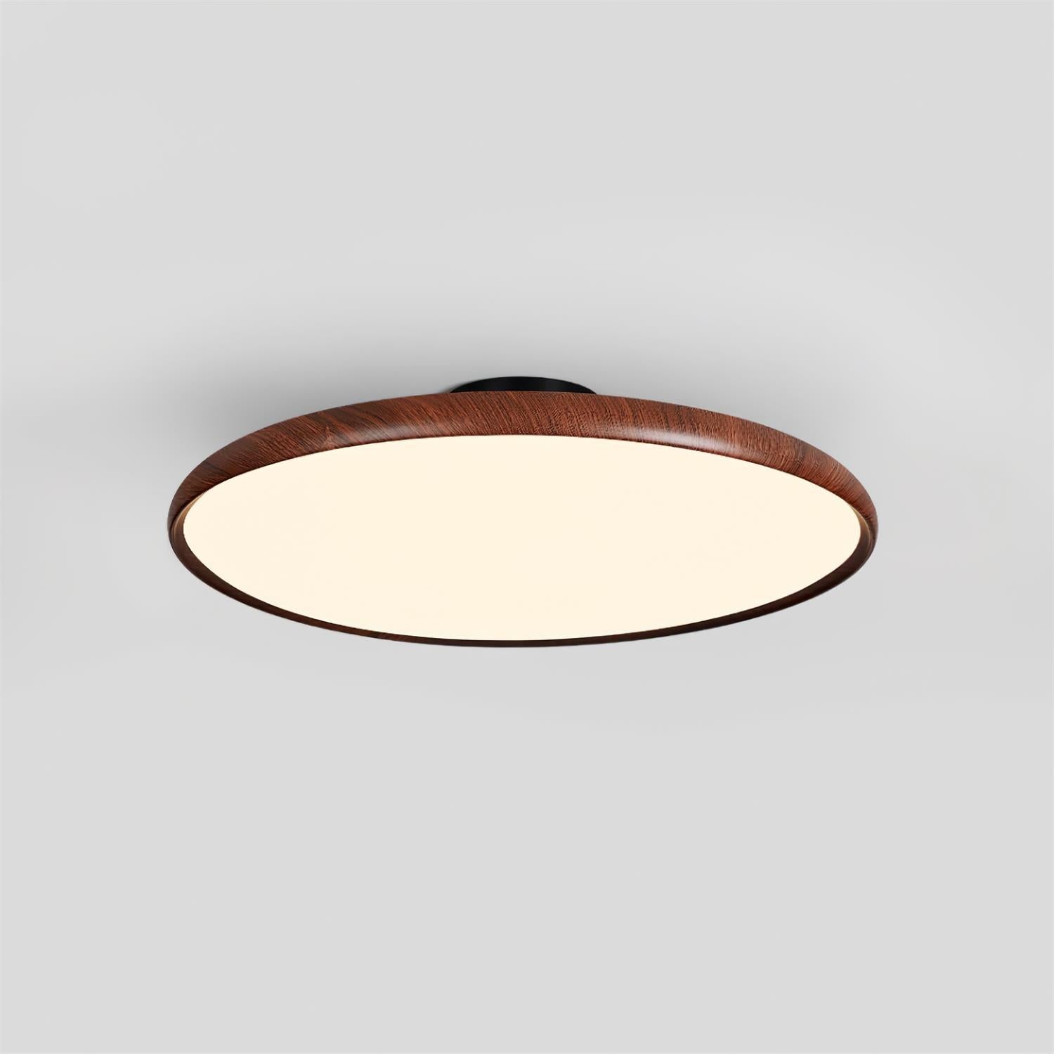 Vejhava loftlampe