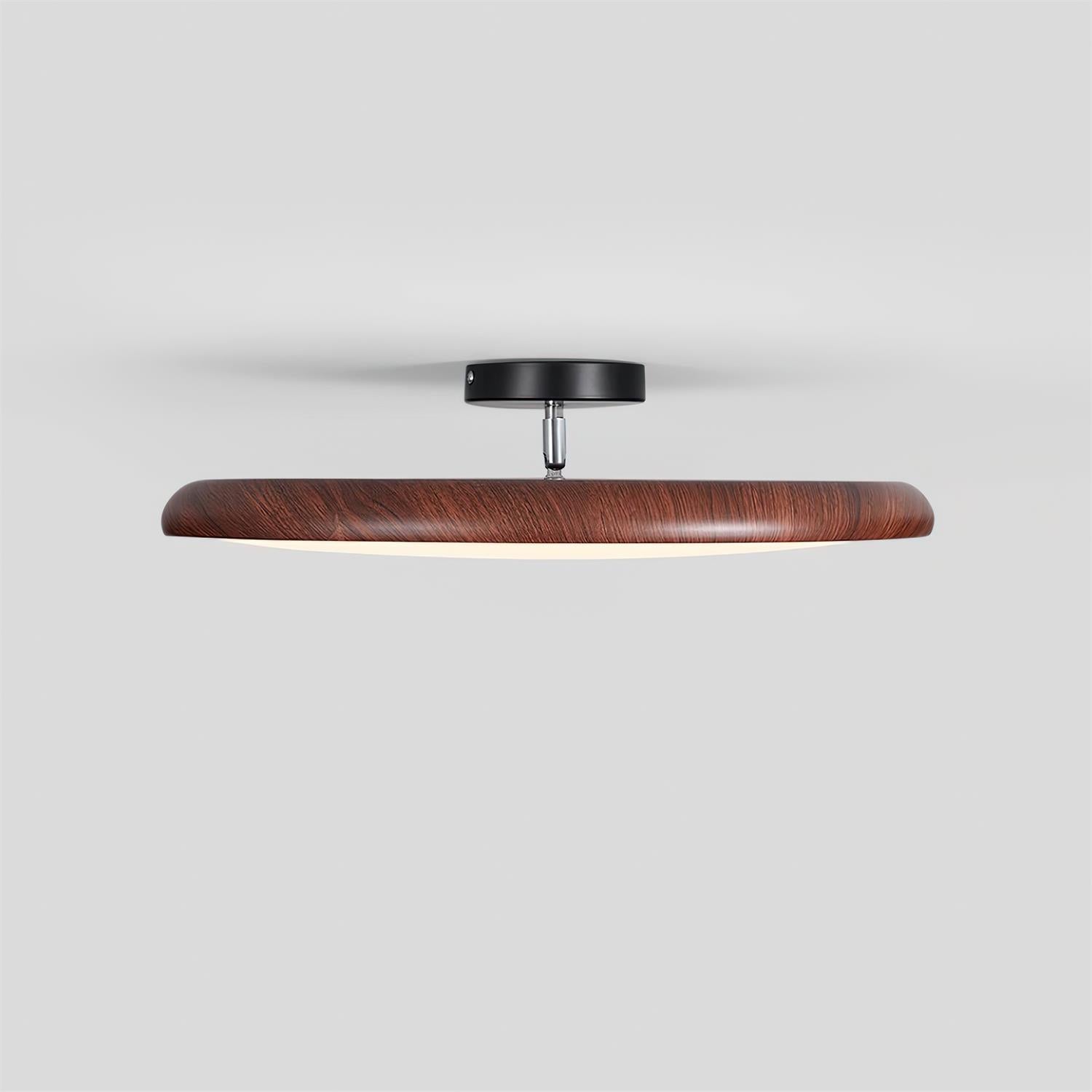 Vejhava loftlampe