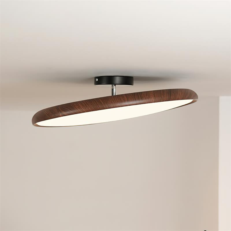 Vejhava loftlampe