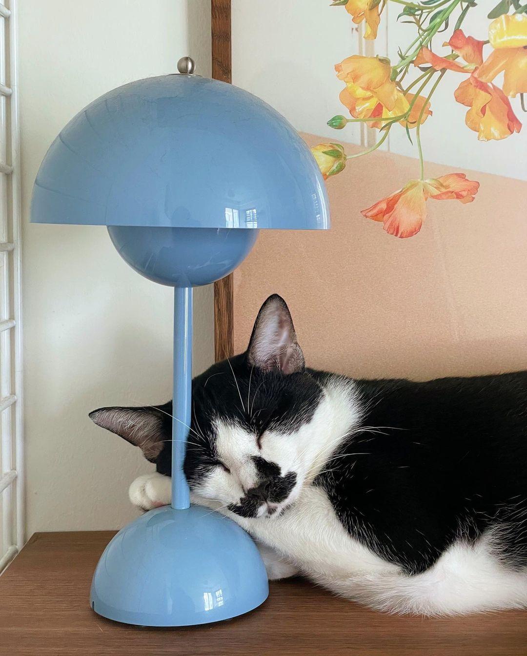 Ylava udendørs bordlampe