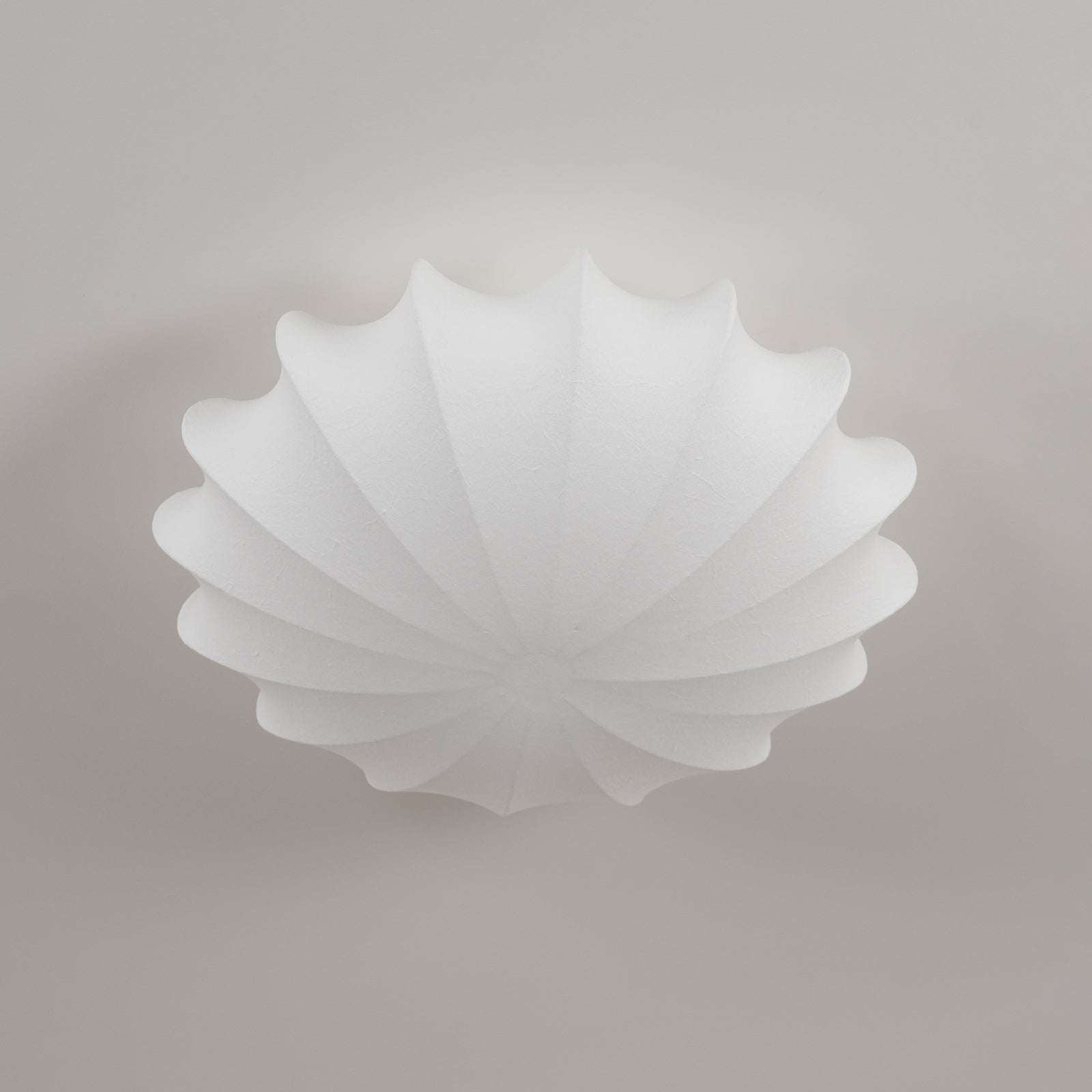 Aneso udendørs loftlampe