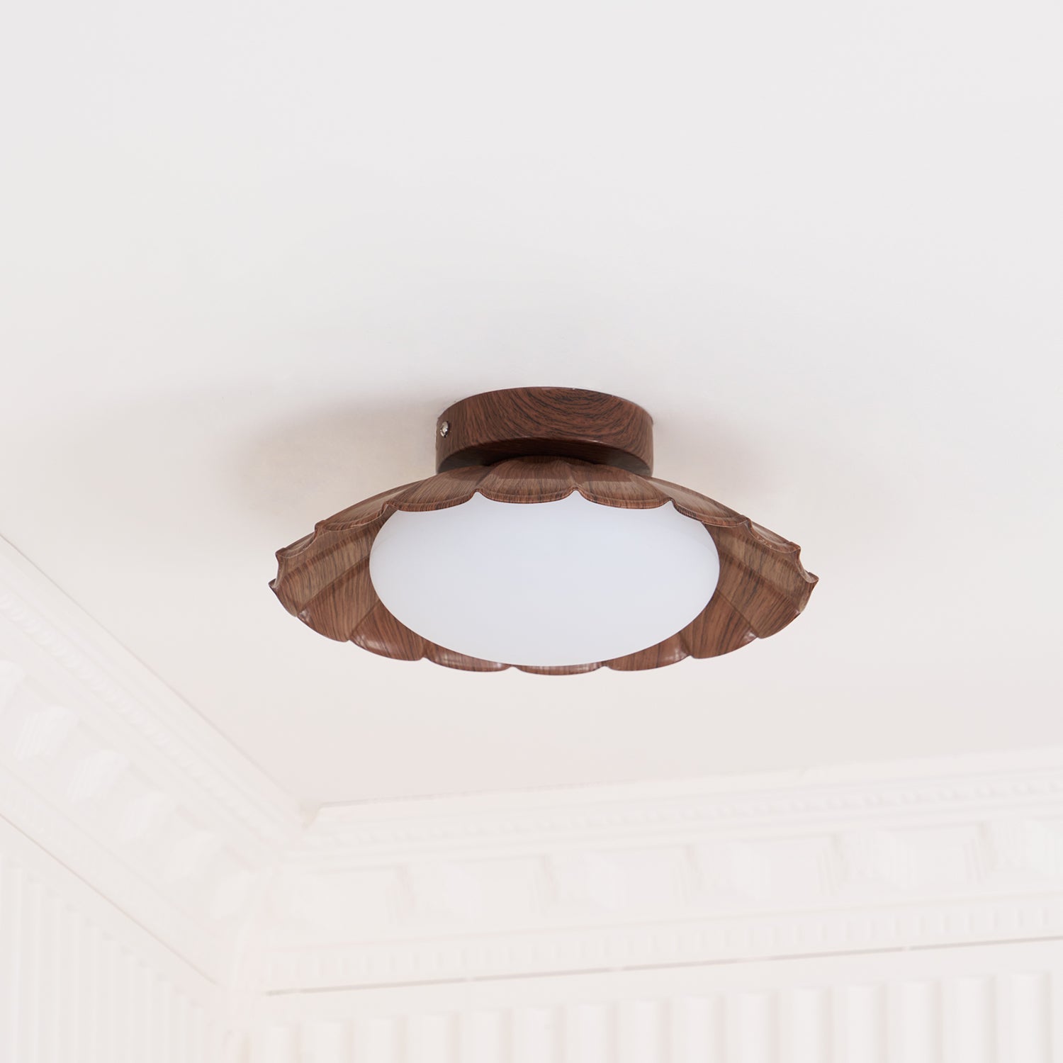 Blaona udendørs loftlampe