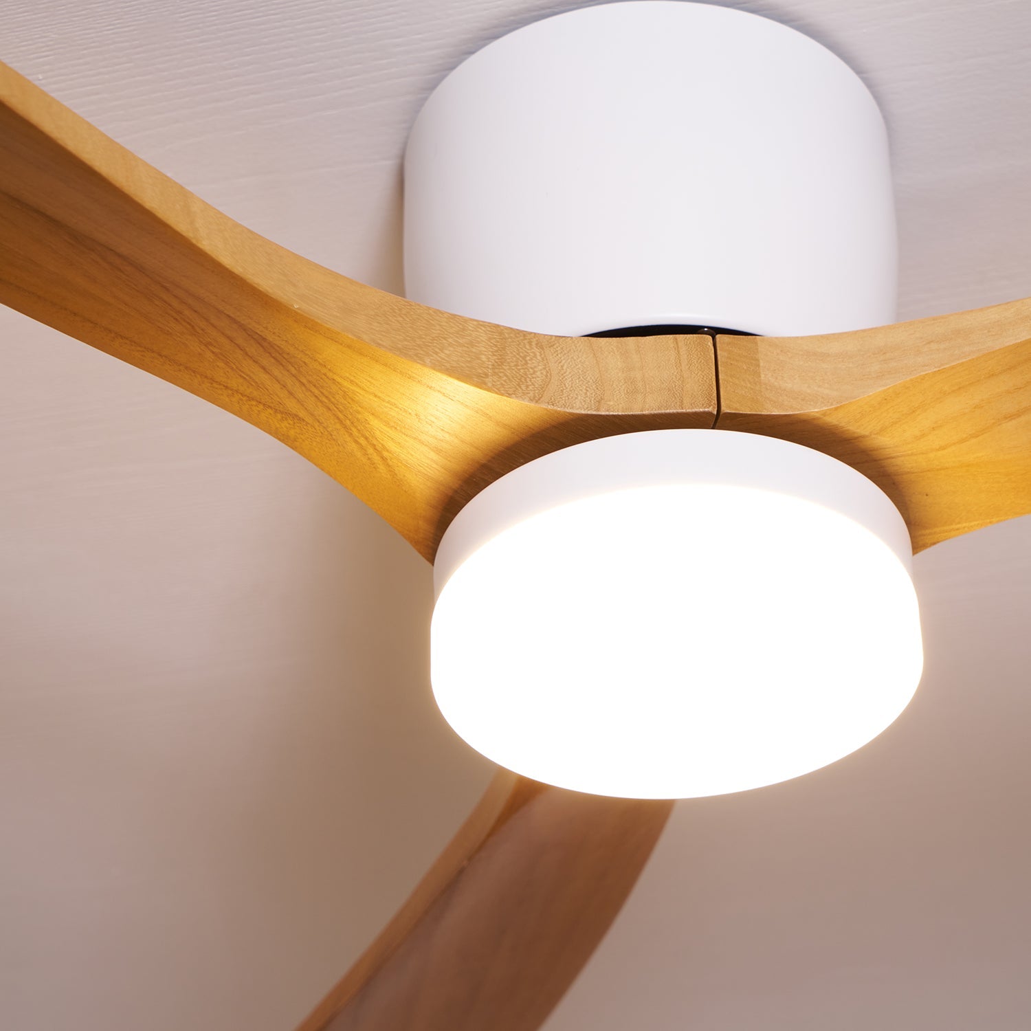 Anelase moderne loftlampe