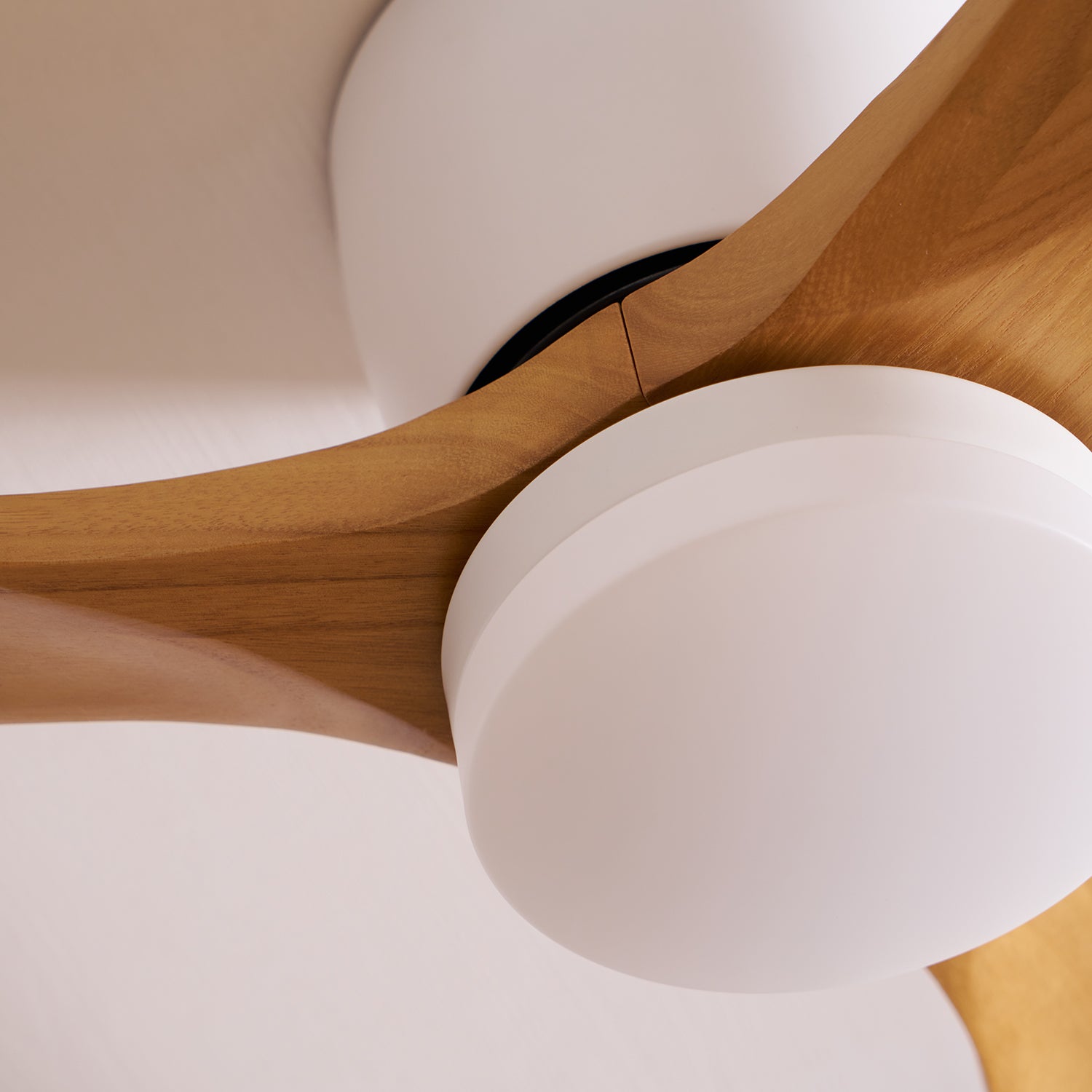 Anelase moderne loftlampe