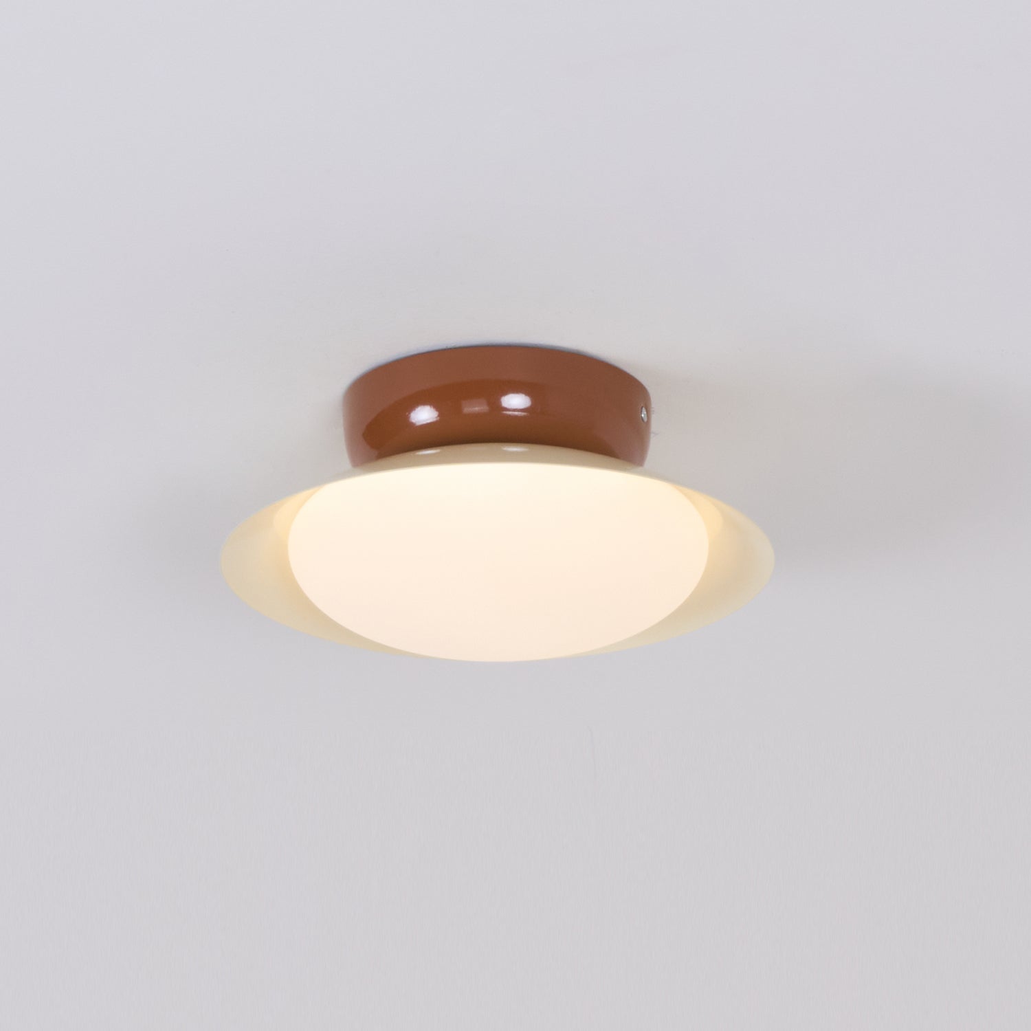 Elisoli udendørs loftlampe