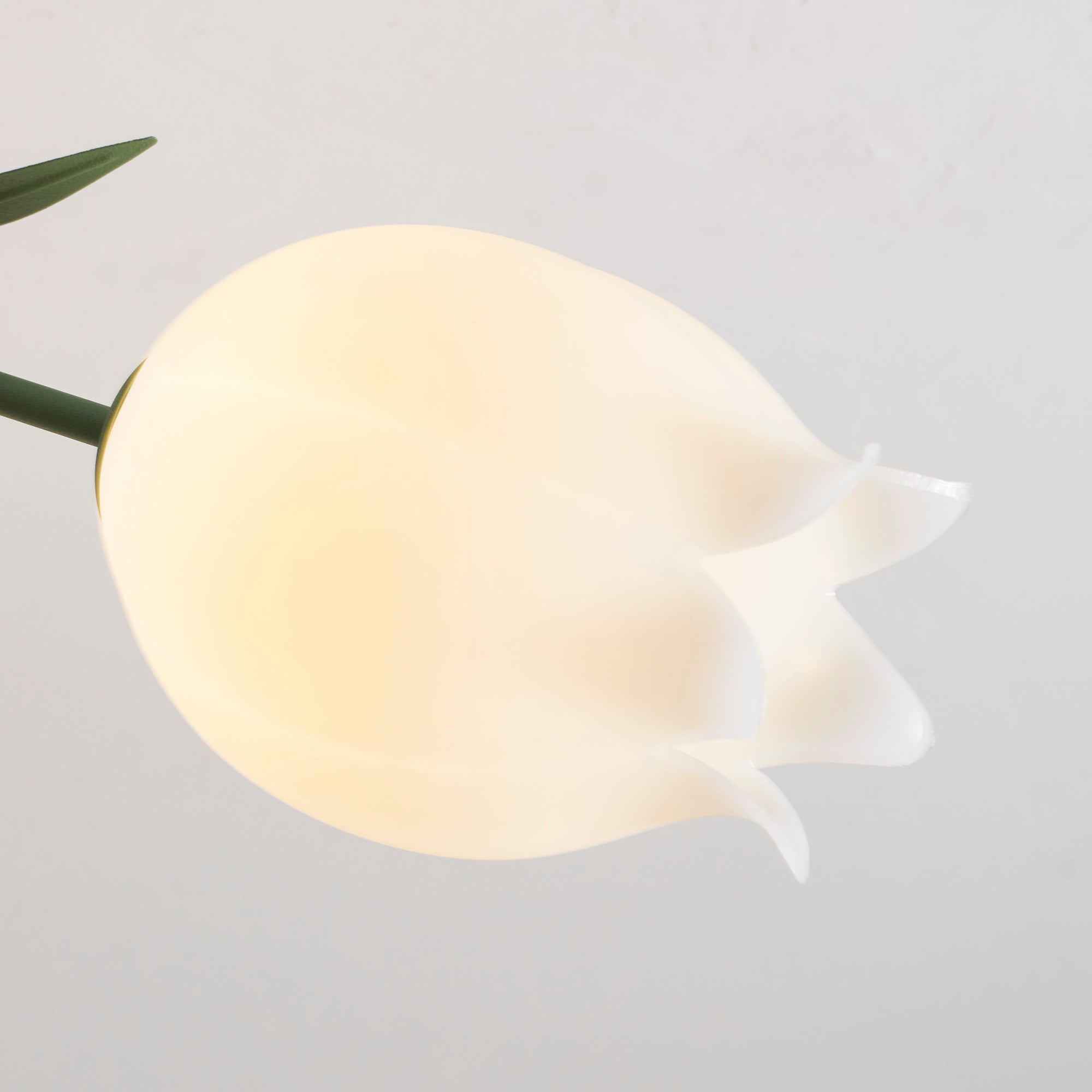 Asse udendørs loftlampe