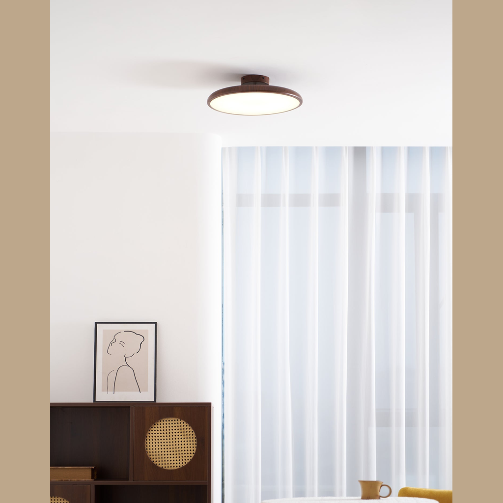 Vejhava loftlampe