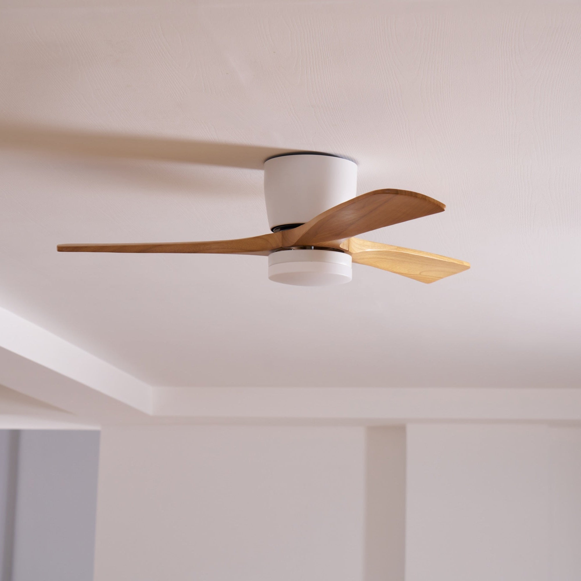Anelase moderne loftlampe