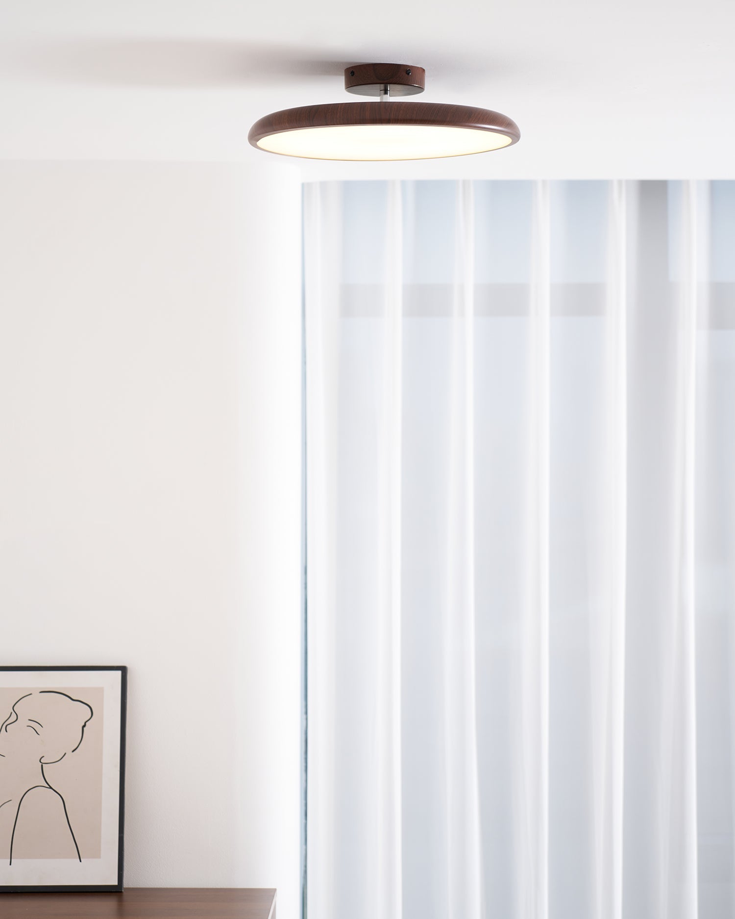Vejhava loftlampe