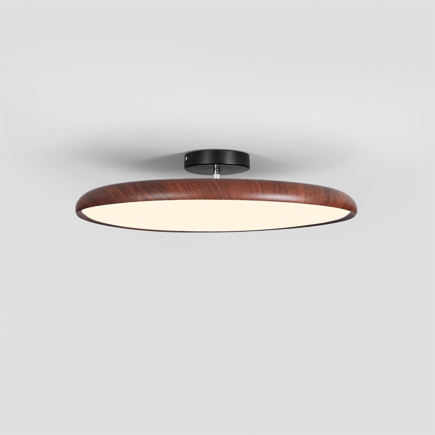 Vejhava loftlampe
