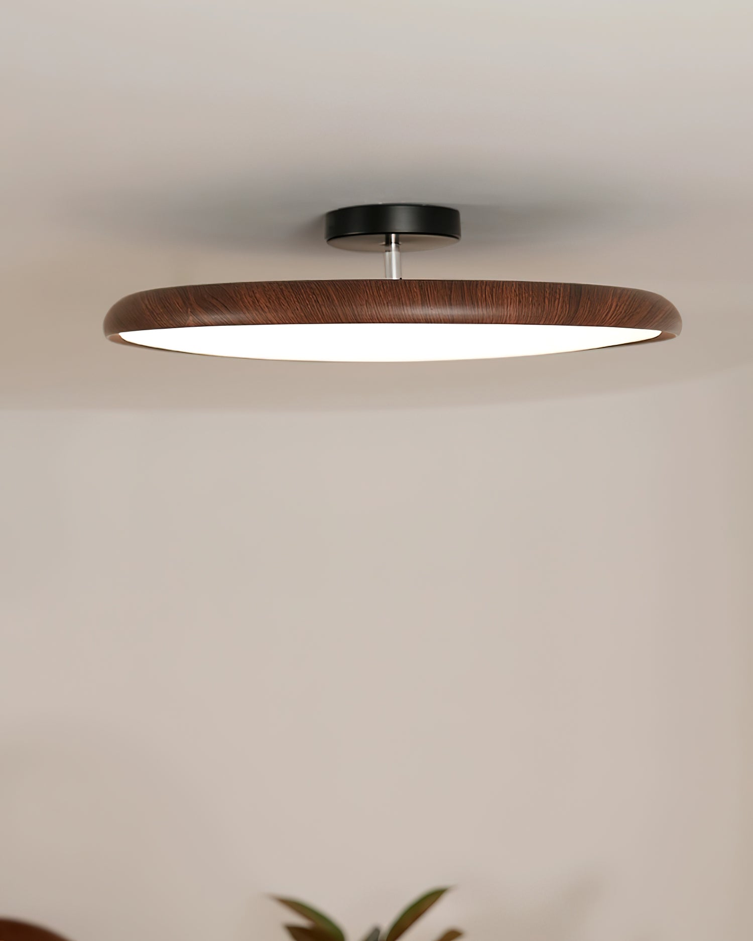 Vejhava loftlampe