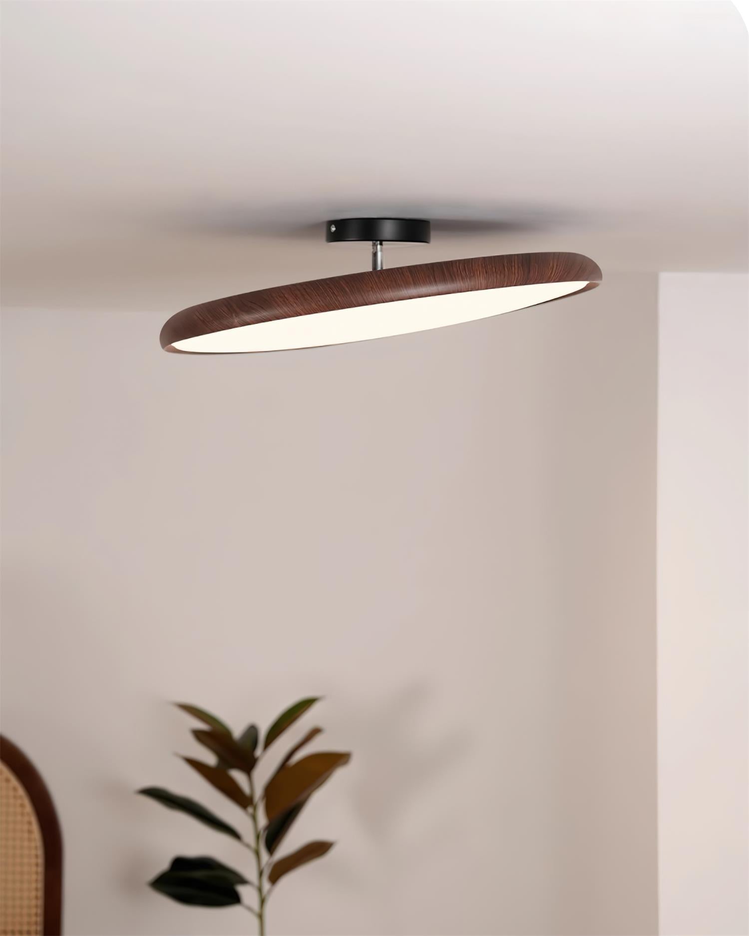 Vejhava loftlampe
