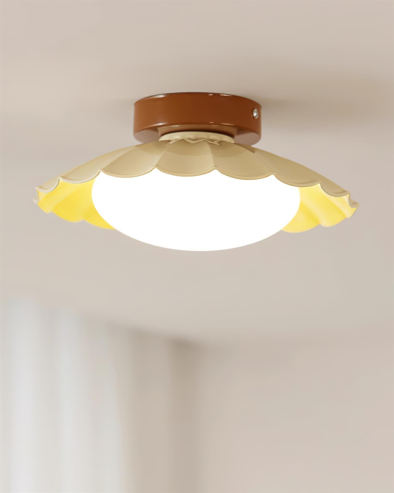 Blaona udendørs loftlampe