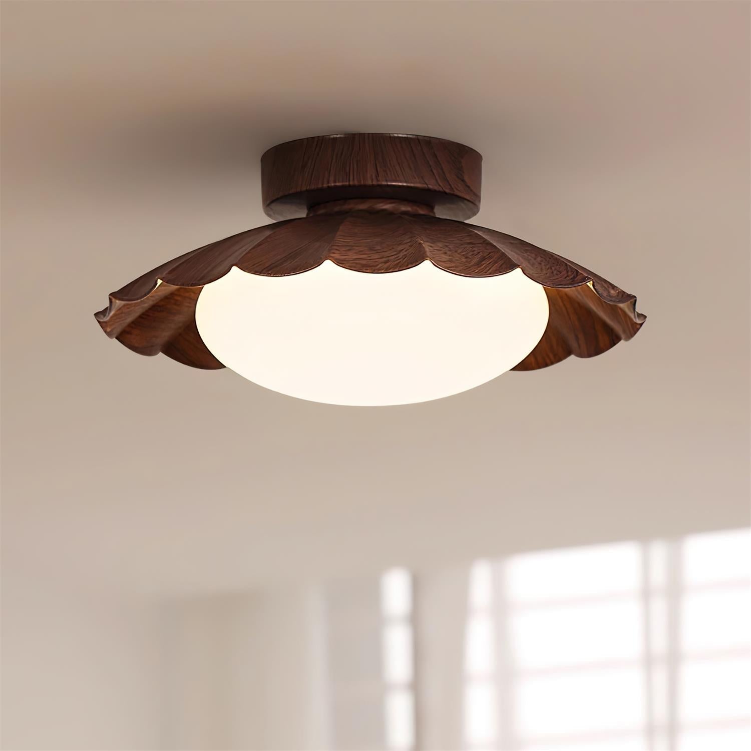 Blaona udendørs loftlampe