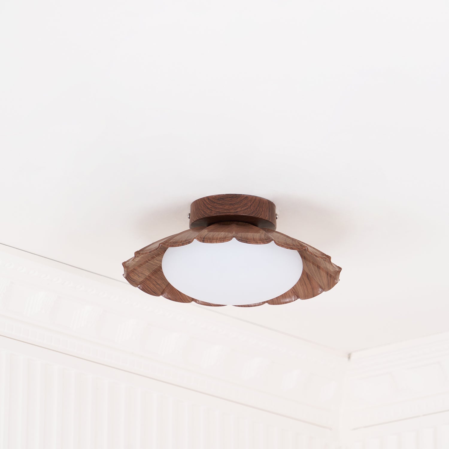 Blaona udendørs loftlampe