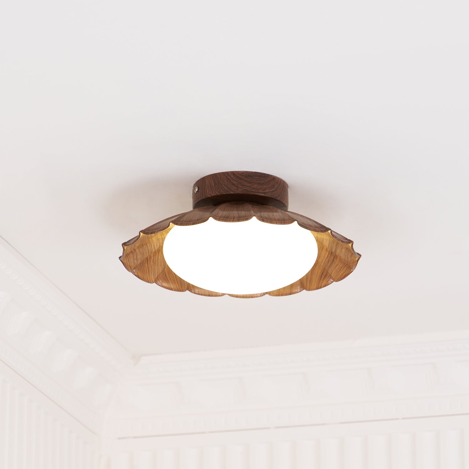 Blaona udendørs loftlampe