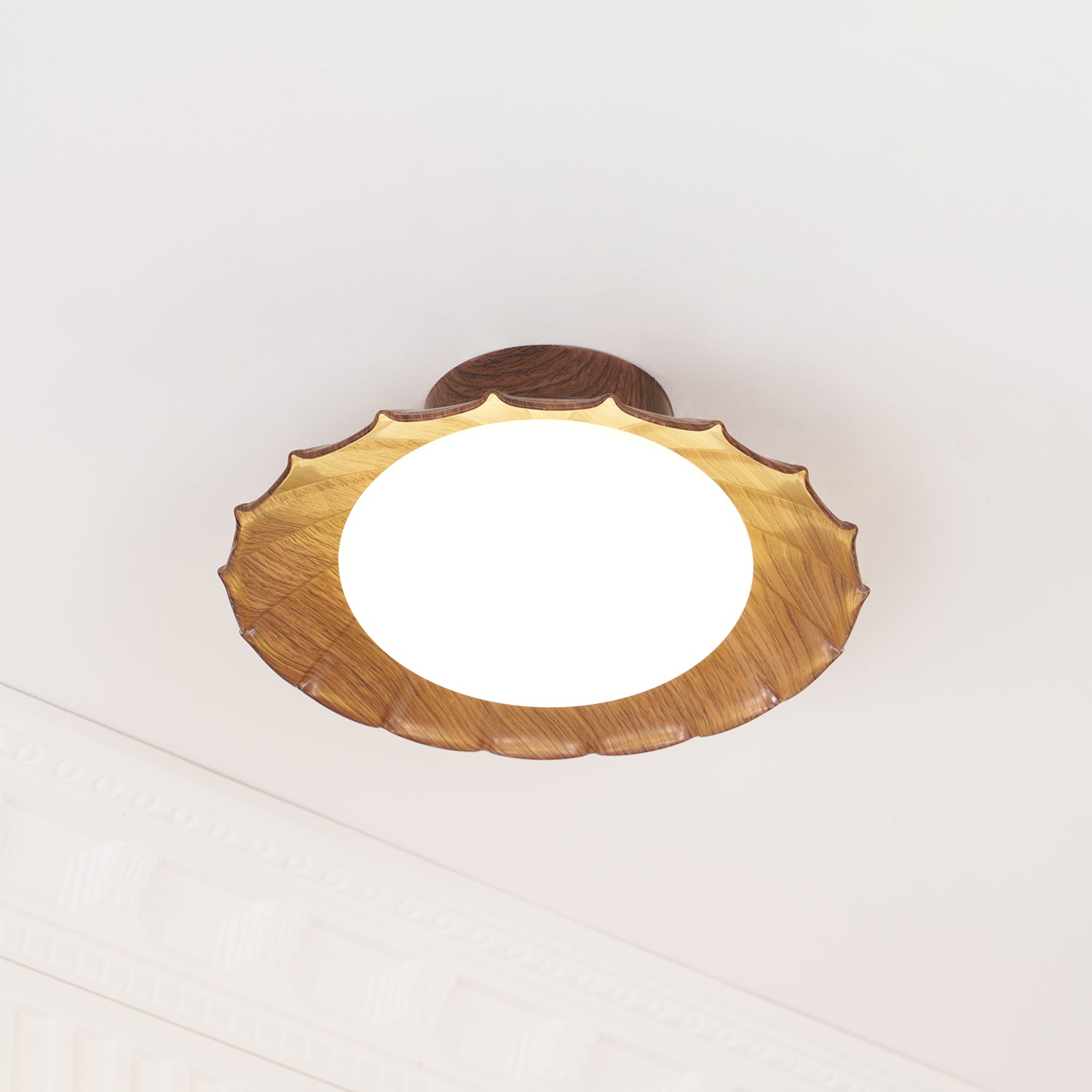Blaona udendørs loftlampe