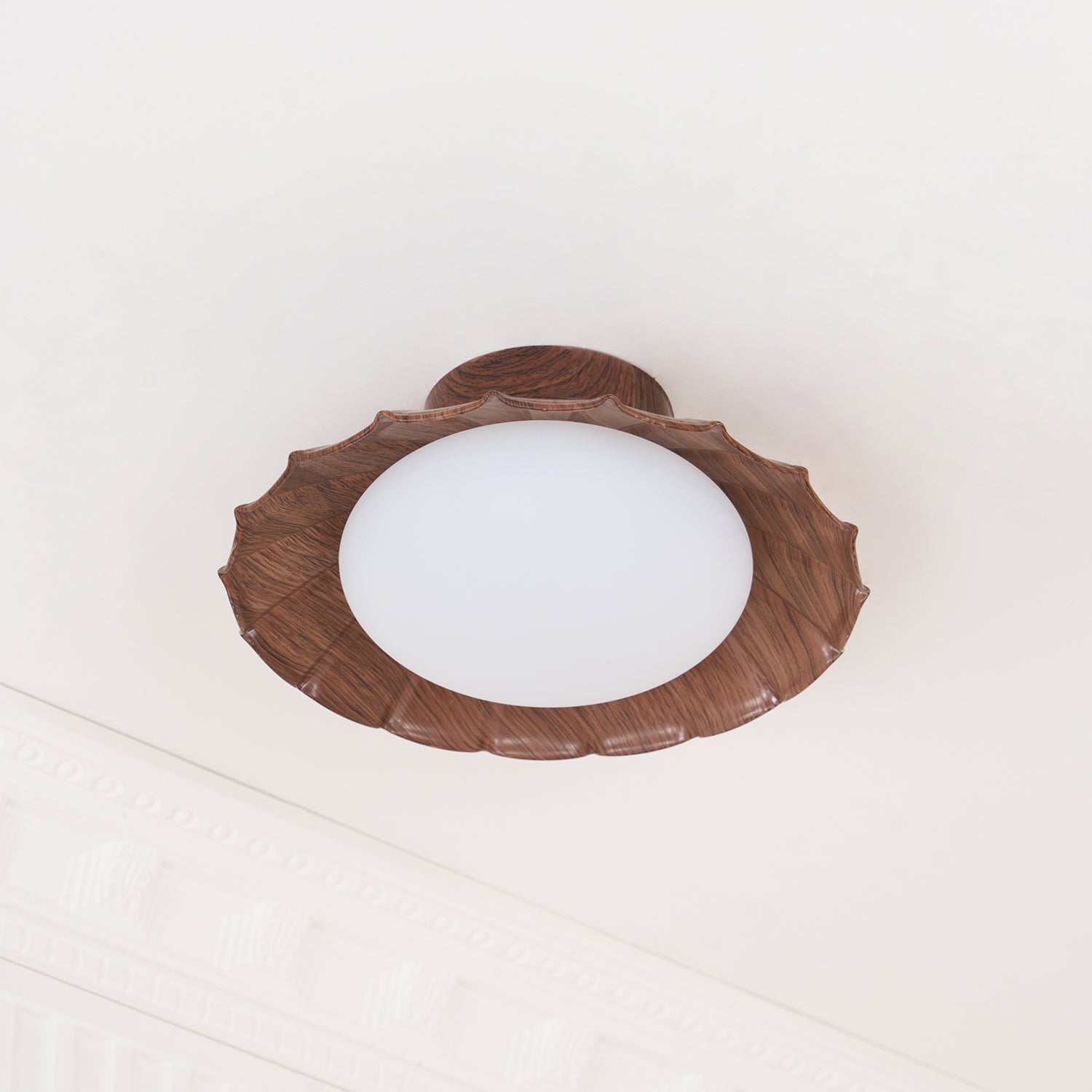 Blaona udendørs loftlampe