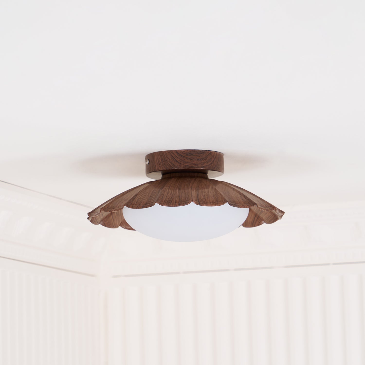 Blaona udendørs loftlampe