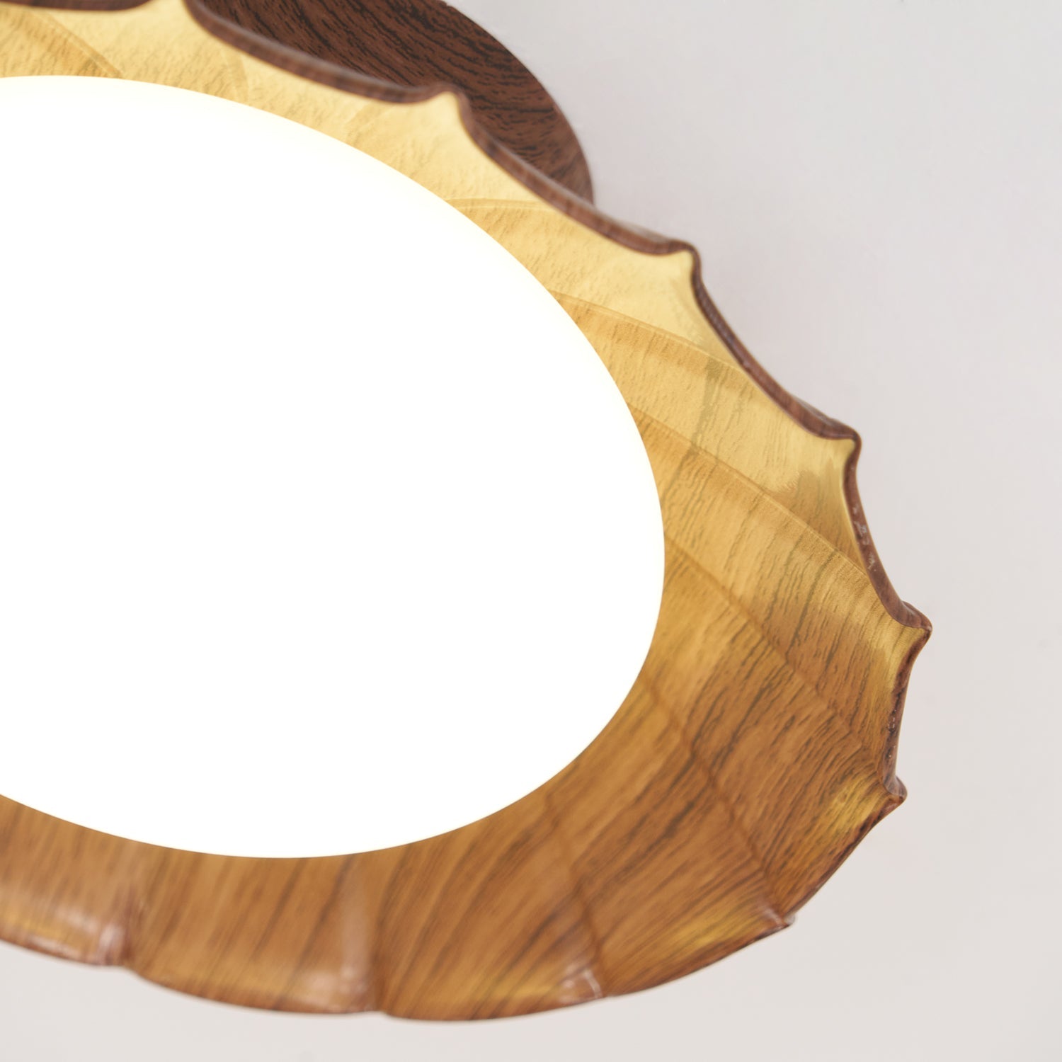 Blaona udendørs loftlampe