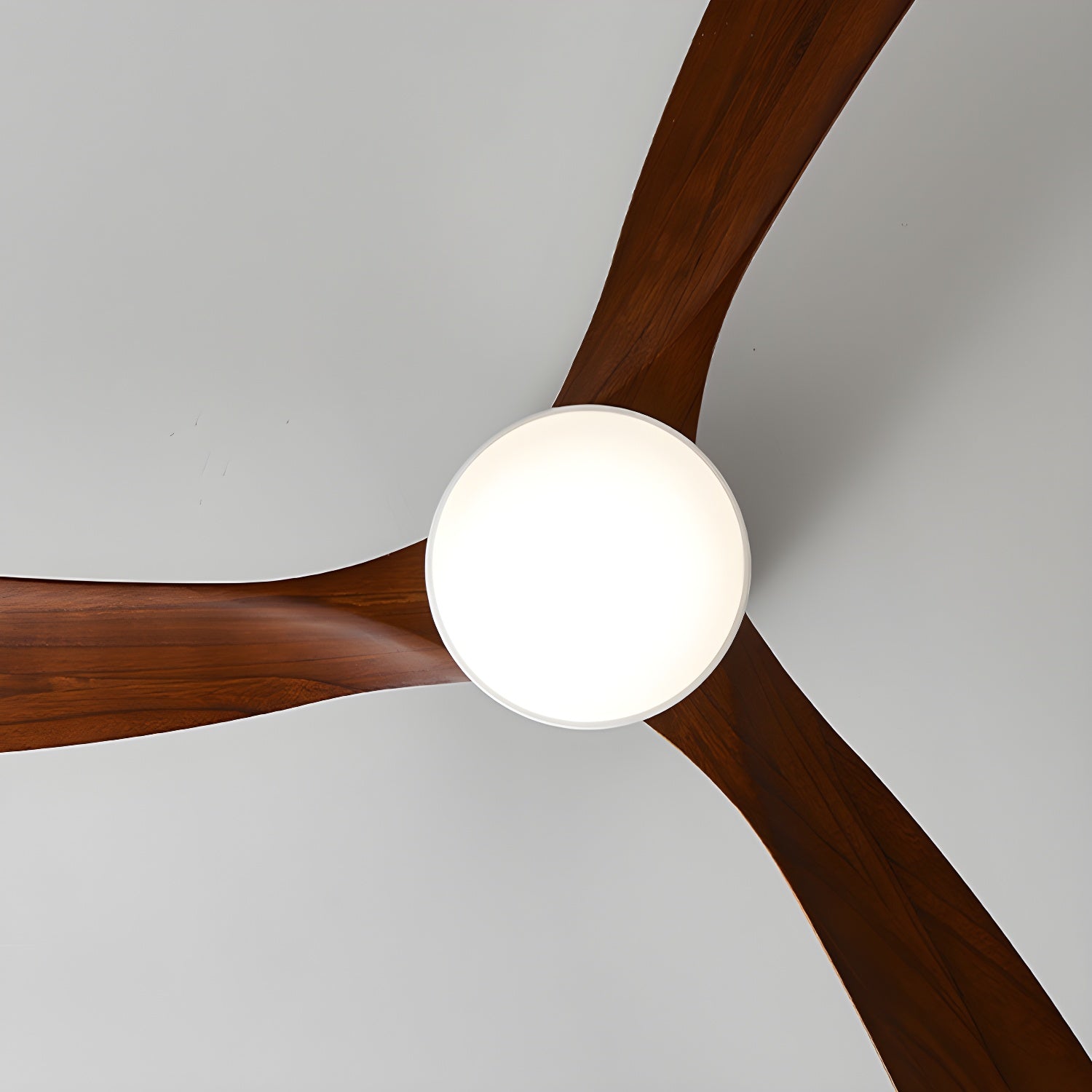 Anelase moderne loftlampe