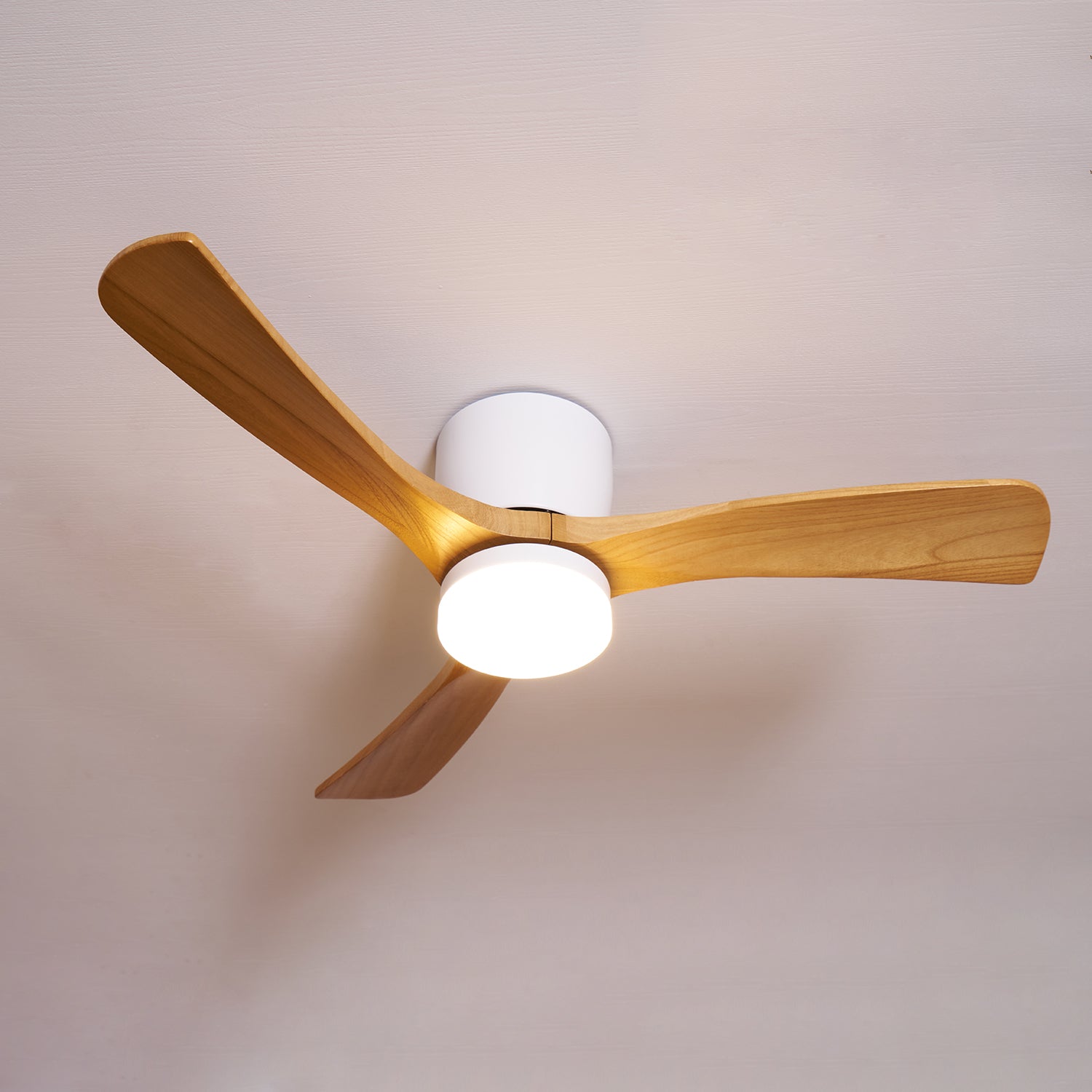 Anelase moderne loftlampe