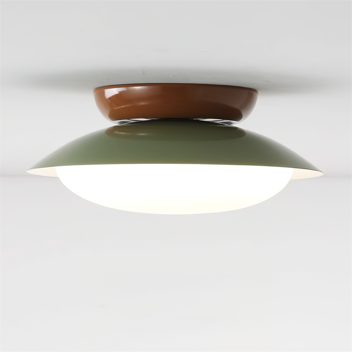 Elisoli udendørs loftlampe