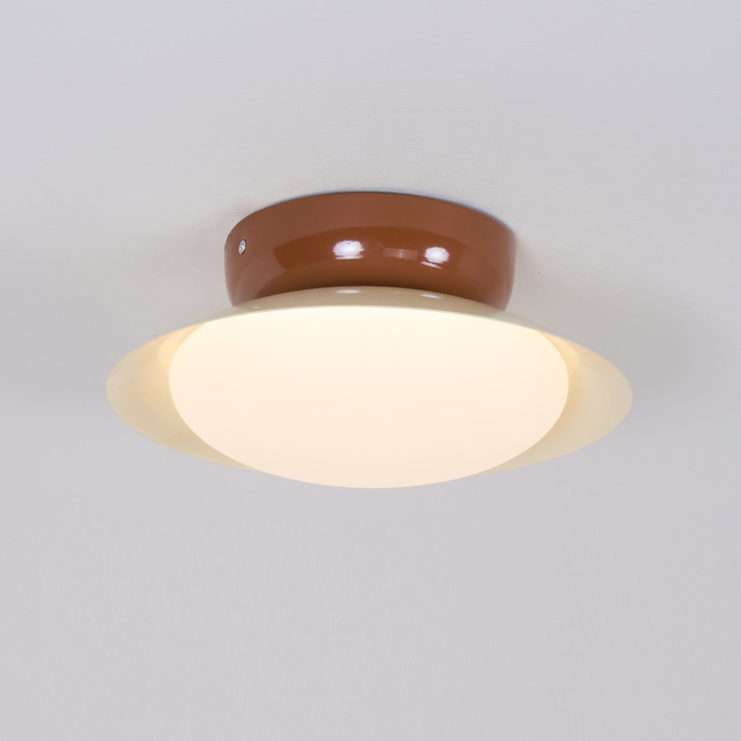 Elisoli udendørs loftlampe
