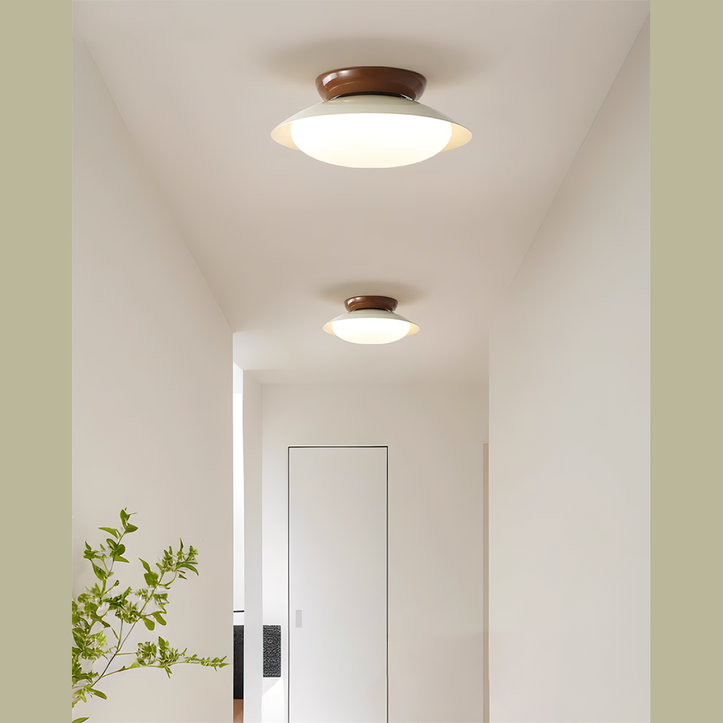 Elisoli udendørs loftlampe