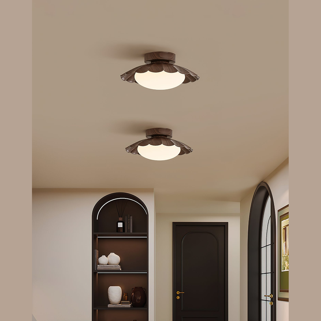 Blaona udendørs loftlampe