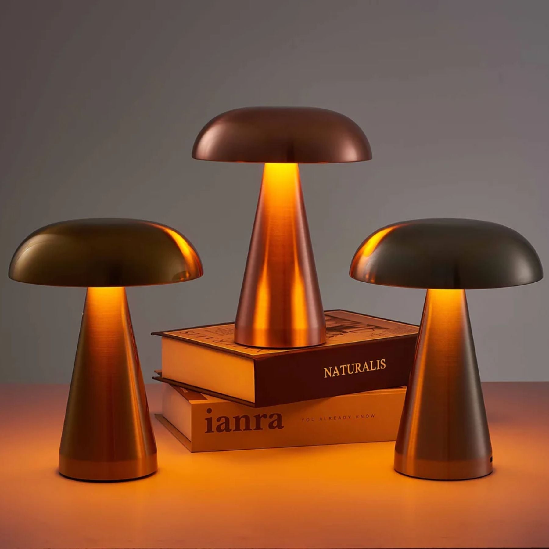 Skaas bordlampe